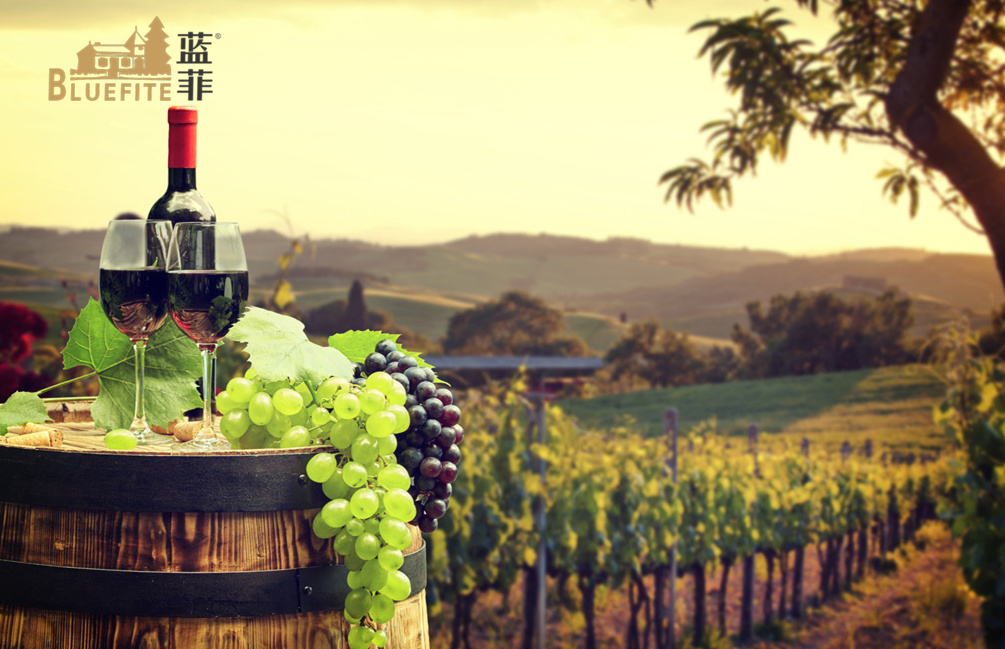 葡萄酒產業(yè)升級，提高葡萄酒安全質量是關鍵