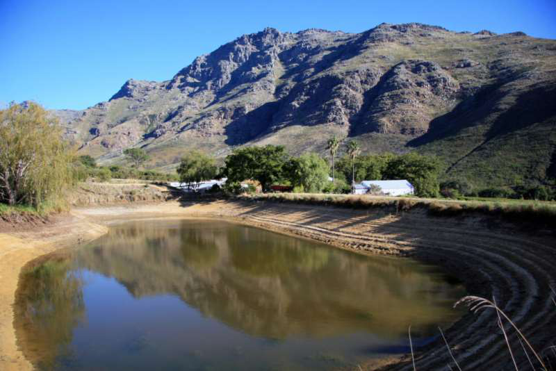 開普敦水荒,南非葡萄酒何去何從